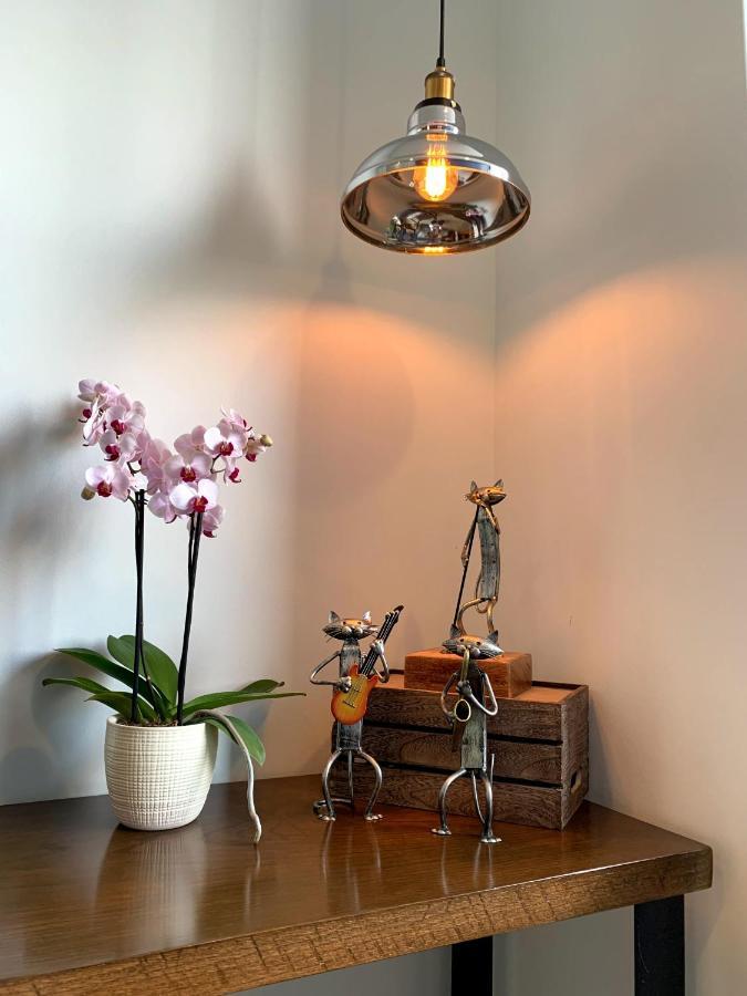 Blue Horse Apartment In New Polanco. Mexico-stad Buitenkant foto